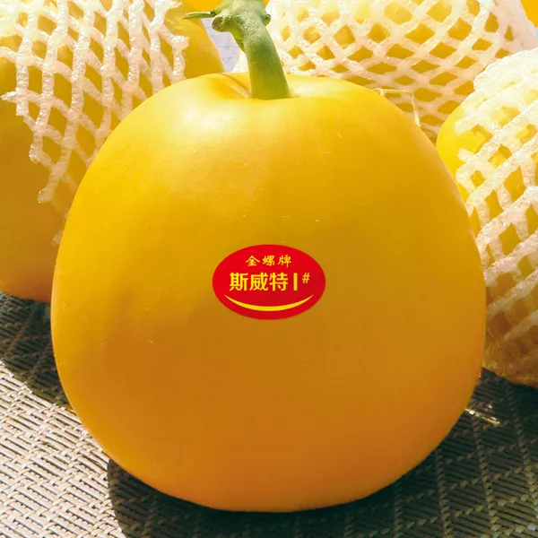 薄皮甜瓜，哪個品種最好呢？畝產(chǎn)高達10萬，附4種市場爆款品種