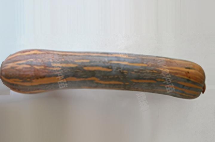 2020年，市面上的南瓜品種哪個(gè)口感最好、最甜、最值得種植？