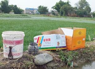 蔬菜種子栽培技術-<b>“多效唑”的5大作用</b>