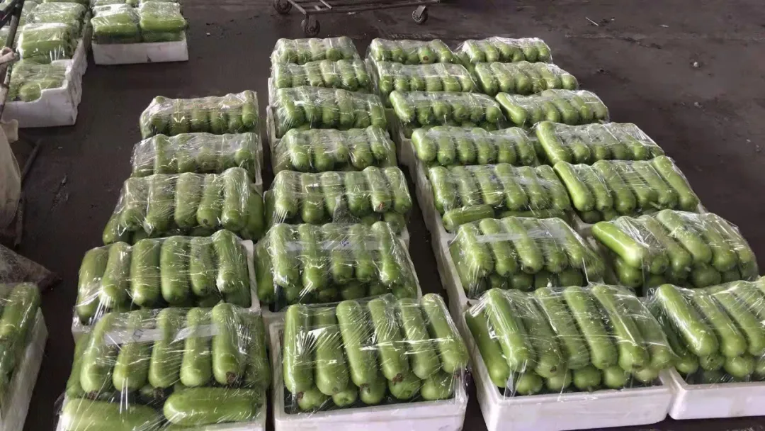 這個品種上市早，價格好！我連續(xù)種了三年，滿意