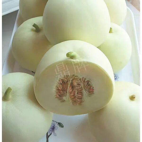 蔬菜種子種植戶種植心得-這個(gè)品種幫我留一些，4月份我們當(dāng)?shù)剡€要種一批