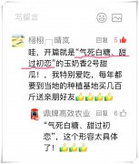 蔬菜種子種植戶客戶點評-“氣死白糖，甜過初戀”，您知道或體驗過這句話嗎